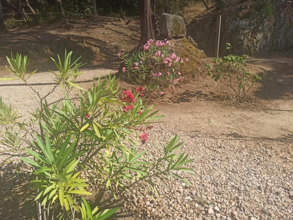 Chalet En Entorno Natural De La Costa Brava Bell-Lloc  Zewnętrze zdjęcie